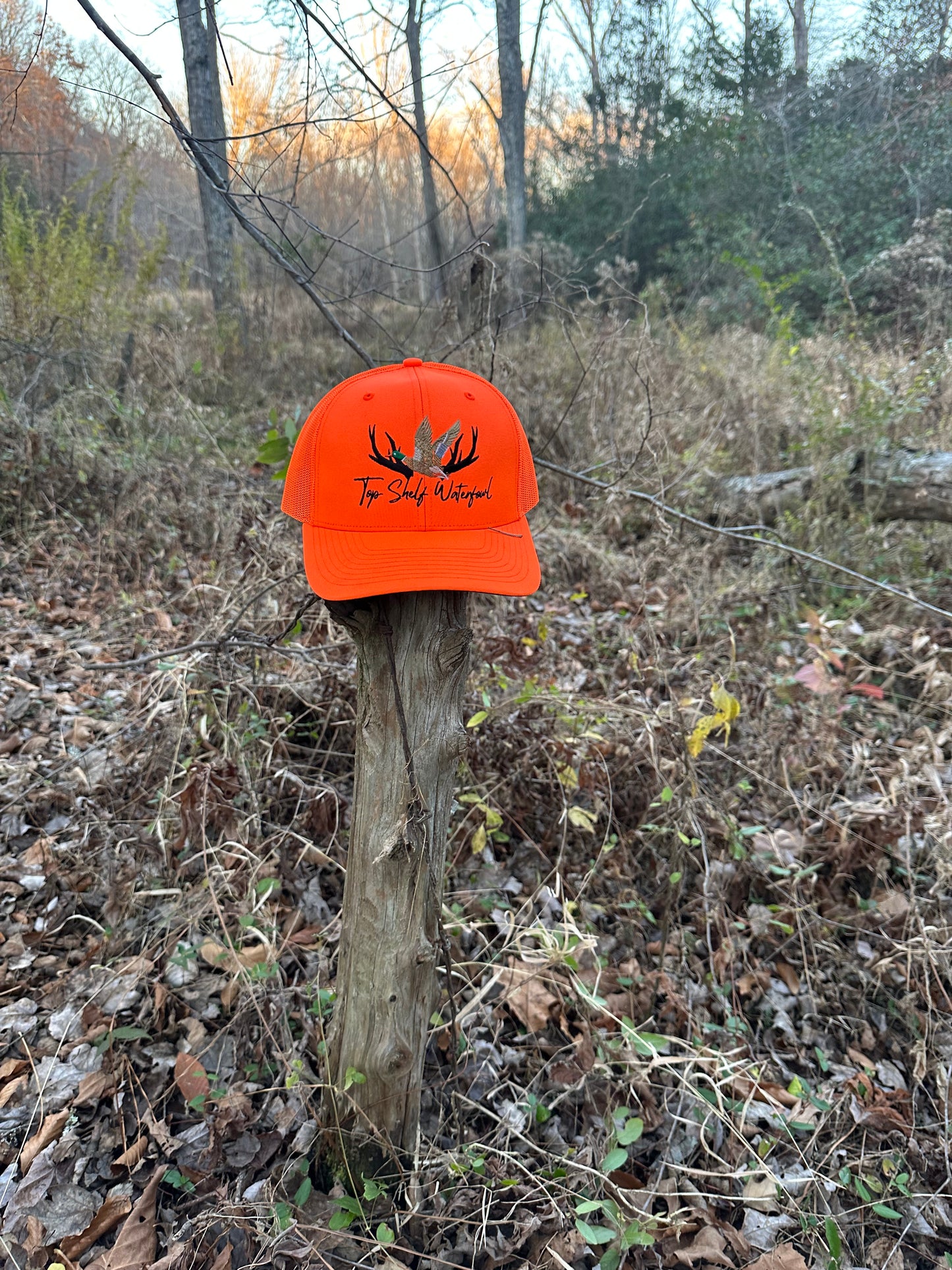 Duck n Mallard Blaze