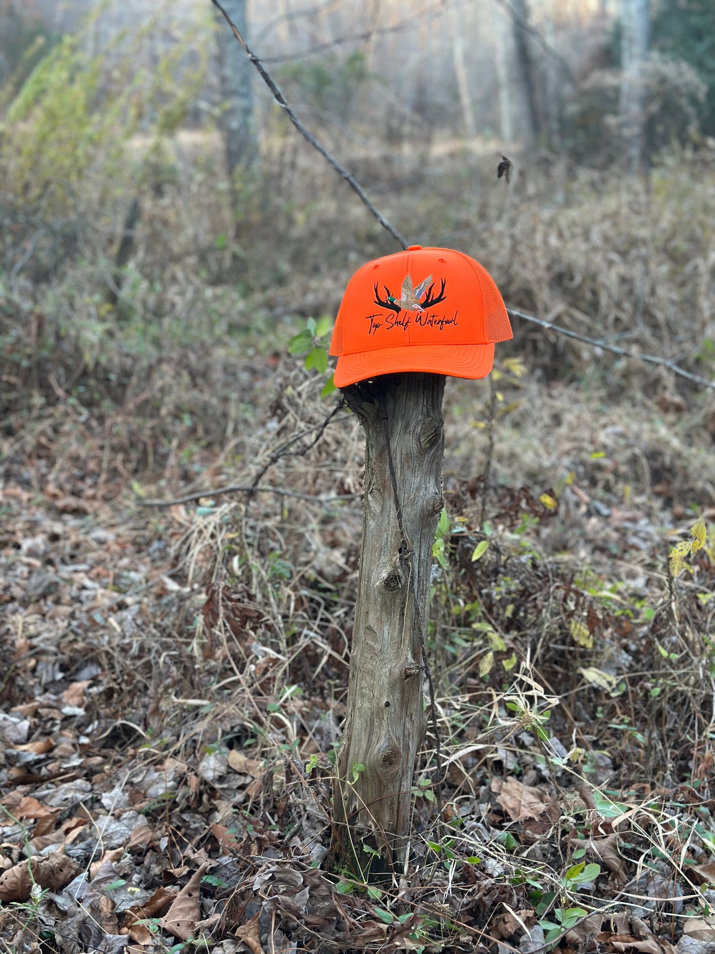 Duck n Mallard Blaze