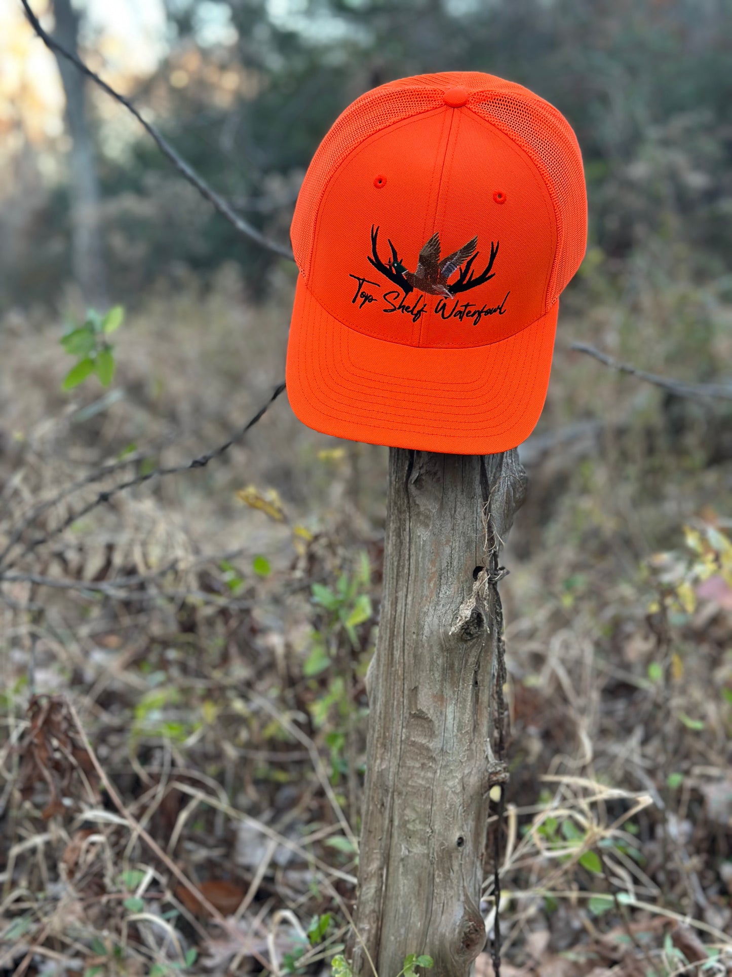 Duck n Mallard Blaze