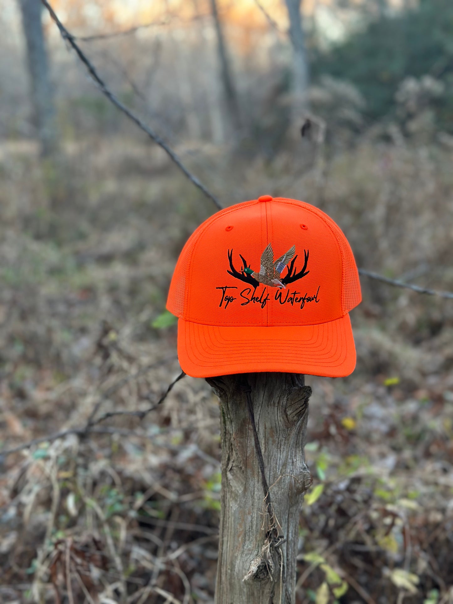 Duck n Mallard Blaze